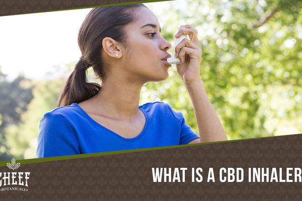 CBD Inhaler: The Quick and Easy New Way to Experience CBD