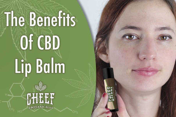 Everything You Should Know About CBD Lip Balm [Tips for Your Lips]