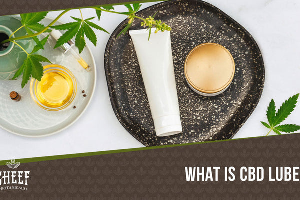 CBD Lube: Experimenting With Cannabidiol Into the Bedroom