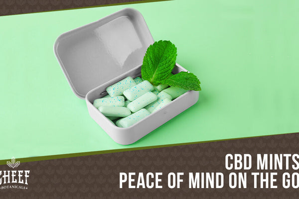 CBD Mints [Dosing Has Never Been So Easy and Breezy!]