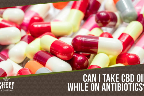 CBD Oil and Antibiotics - Can You Take Them Together?