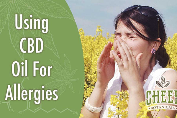 Why Use CBD Oil For Allergies [Has Been Proven To Work!]