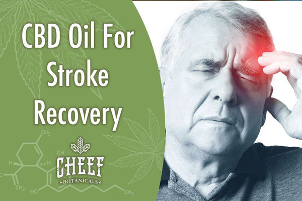 Using CBD Oil For Stroke Recovery In Patients