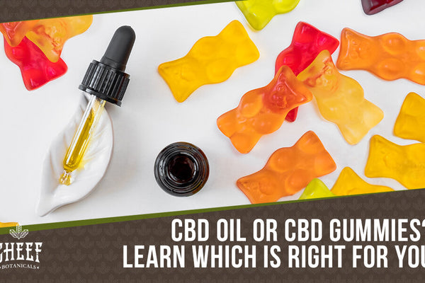 CBD Oil vs CBD Gummies: Effects & Dosage Explained for Beginners