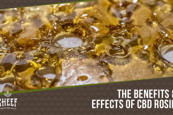 CBD Rosin: Top Uses, Benefits & Effects Explained