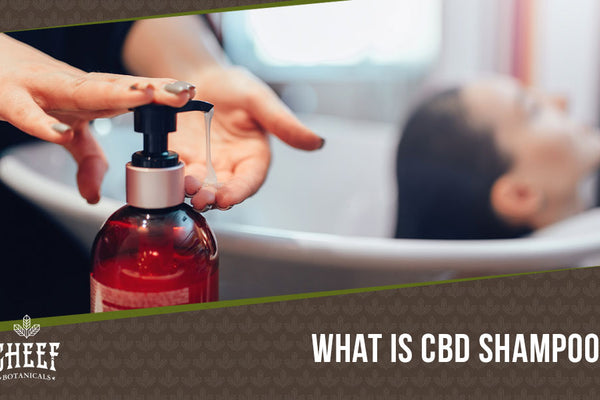 CBD Shampoo: How To Boost Your Hair Health and Relaxation
