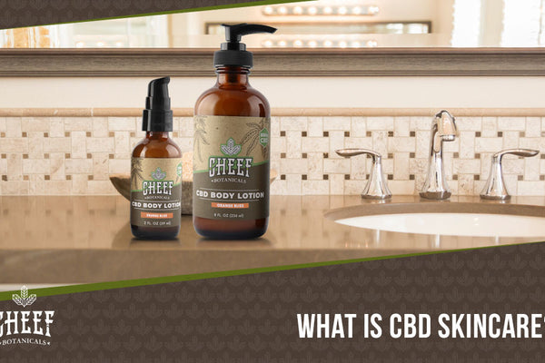 CBD Skin Care: Cosmetic Creations You Need in Your Skin Routine