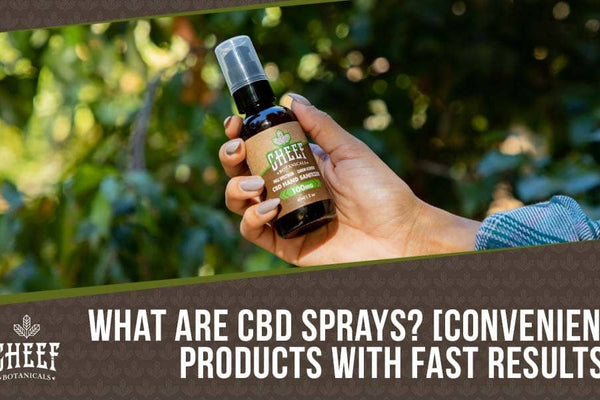 CBD Spray [Quick & Easy Relief You Can Take Anywhere!]