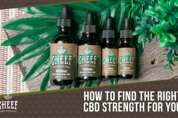 What CBD Strength Is Right for You? It All Depends on These Factors!