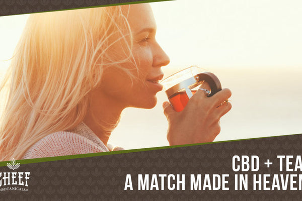 The Best CBD Tea | All-Natural, Highly Beneficial, &amp; Delicious!