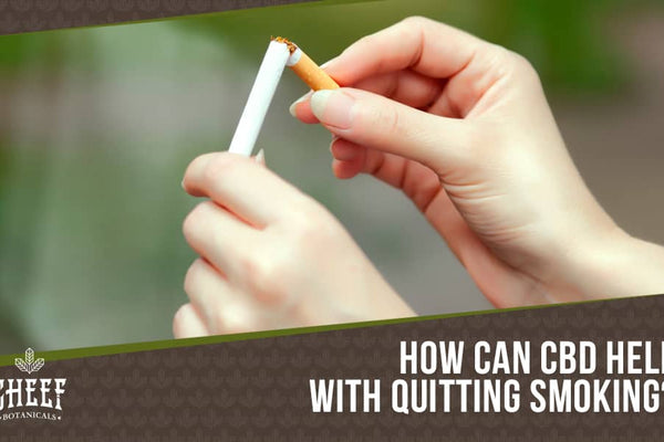 CBD To Quit Smoking [How CBD Products Can Help You Kick the Habit]