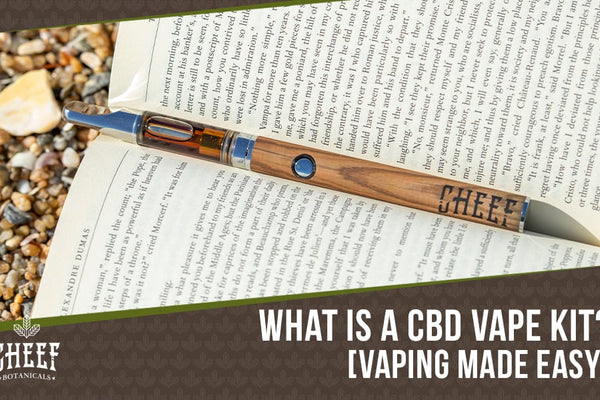CBD Vape Kit: Everything You Need To Start Vaping Today