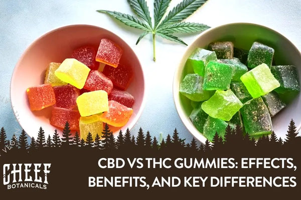 CBD vs THC Gummies: Effects, Benefits, and Key Differences