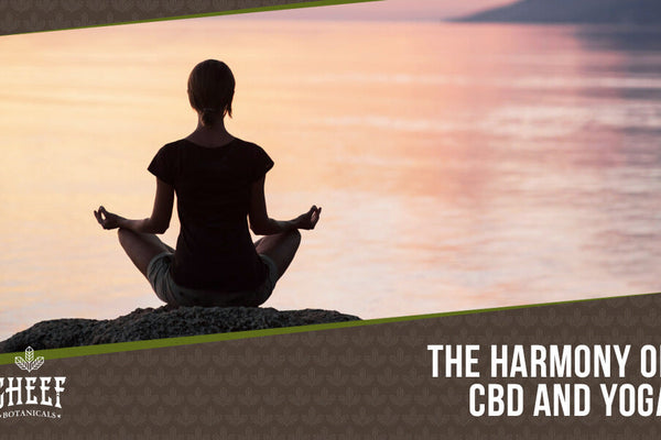 Learn CBD Yoga Like A Pro - Improve Your Mind, Body &amp; Soul