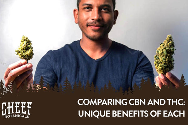 CBN vs THC Explained: Differences, Benefits, and Uses
