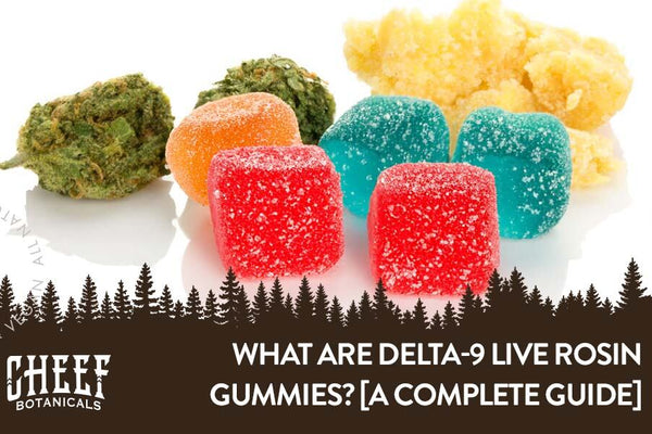 What Are Delta 9 Live Rosin Gummies? [A Brief & Informative Guide]