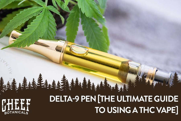 Delta 9 Pen [The Ultimate Guide To Using a THC Vape]