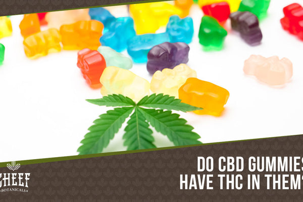 Do CBD Gummies Have THC? - Hint: Both Yes &amp; No!
