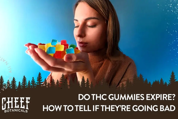 Do THC Gummies Expire? What You Need to Know Before Snacking