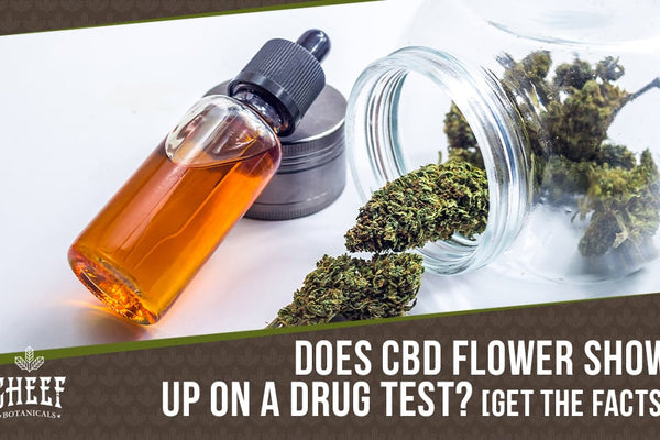 Does CBD Flower Show Up on a Drug Test? [All You Need to Know]