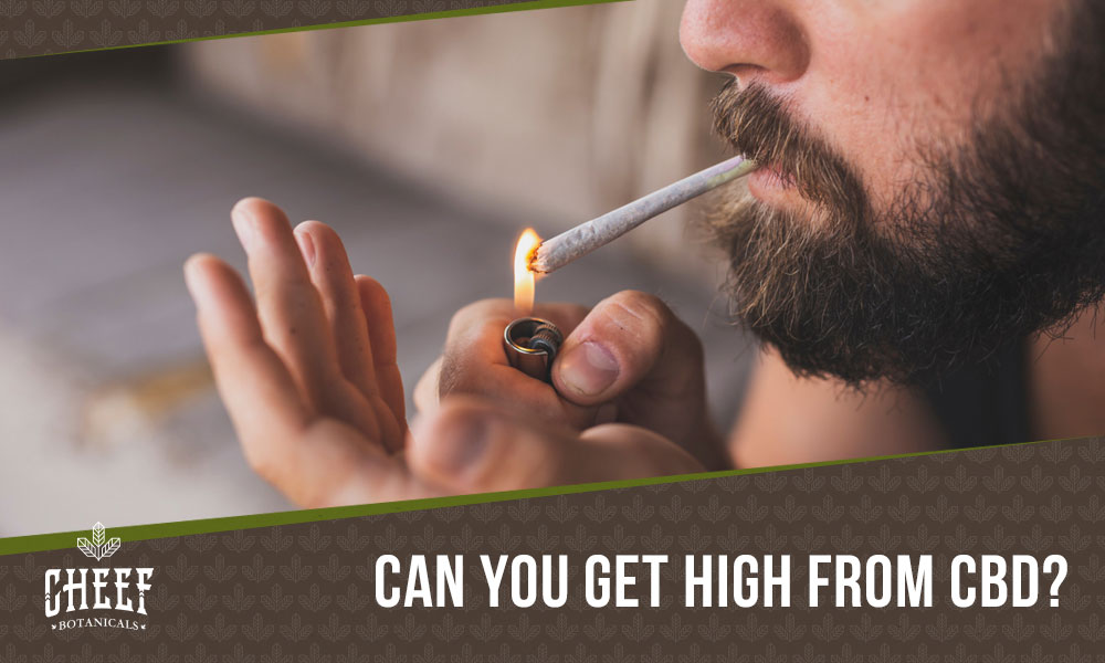 does cbd get you high