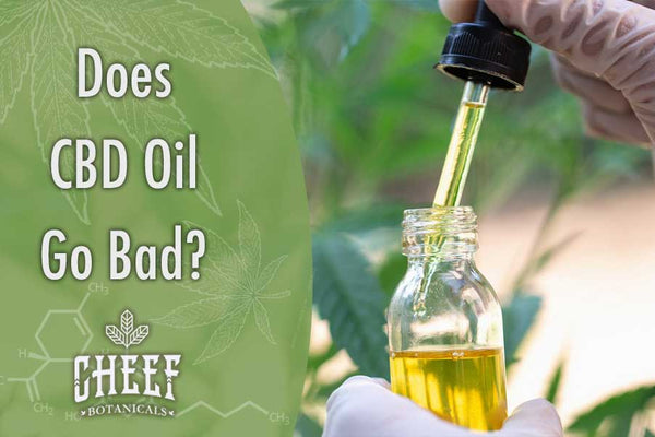 Does CBD Oil Go Bad? [4 Tips On Extending Shelf Life]