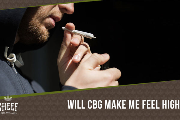 Does CBG Get You High? [Nope! Learn About Its Benefits Here]