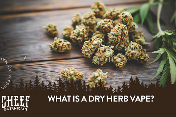 What Is a Dry Herb Vape?