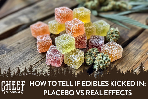 How to Tell if Edibles Kicked In: Placebo vs Real Effects