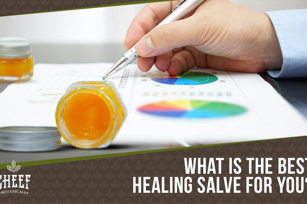What Healing Salve is Right for You? A Comparison of the Top Brands