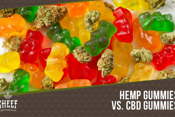 Hemp Gummies Vs CBD Gummies: Two Chewables With Big Differences