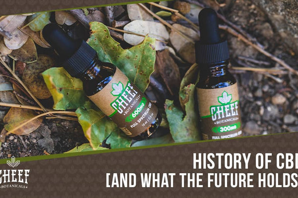 History of CBD: How Cannabidiol Became What It Is Today