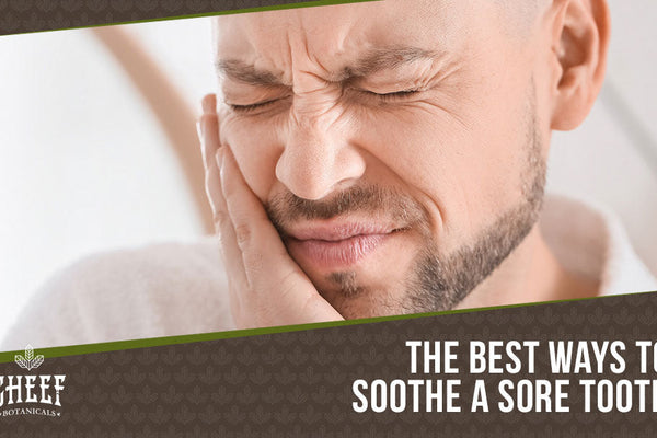 Home Remedies For Toothache: 7 Solutions That WORK [Not Hurt!]