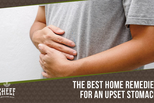 Home Remedies for Upset Stomach [Why It Hurts and How to Help]