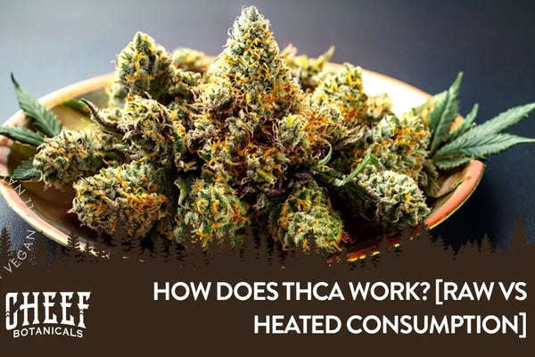 How Does THCA Work? [Raw vs Heated Consumption]