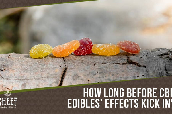 How Long Does it Take for CBD Edibles to Kick In? Here's What to Expect