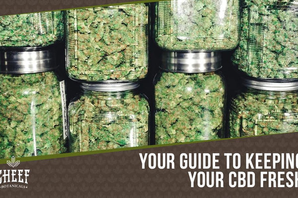 How Long Does Sealed CBD Flower Last? [A Quick Guide]