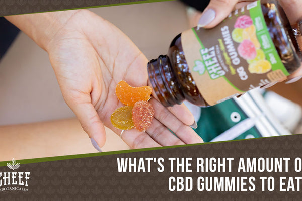 How Many CBD Gummies Should I Eat? [In-Depth Explanation]