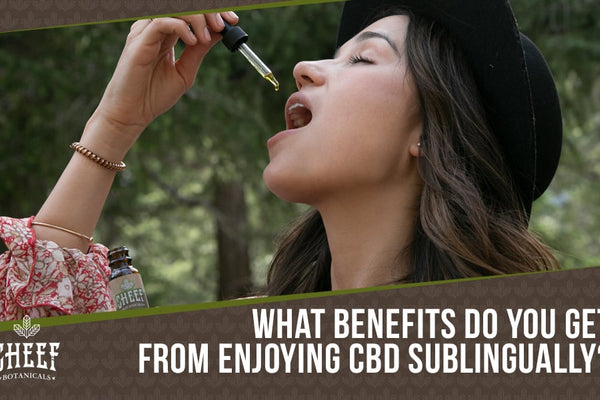 How Many Drops of CBD Oil Under Tongue: A Guide On Sublingual Dosing