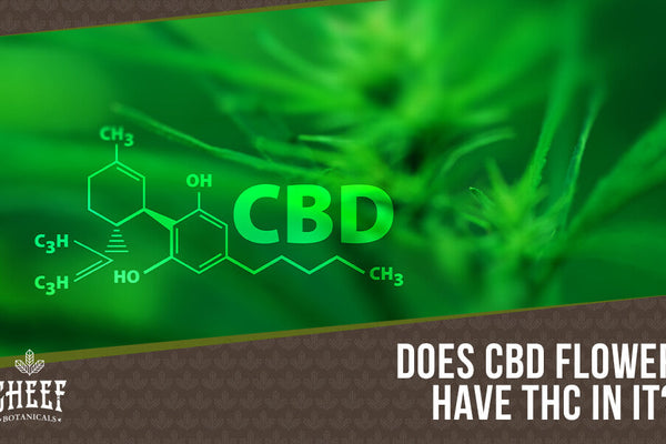 How Much THC Is in CBD Flower? A Must Read Before Buying Hemp