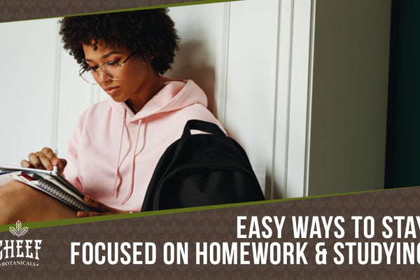 How to Focus on Homework & Studying with 6 Simple Techniques