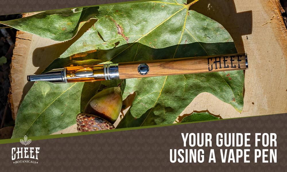 How to Use a Vape Pen featured blog image by Cheef Botanicals. Shows a branded vape pen on some leaves.