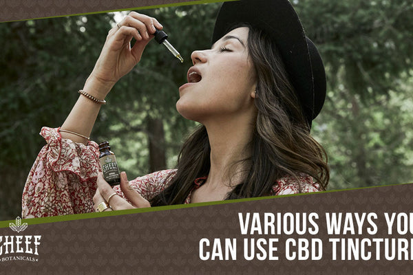 How to Use CBD Tincture the Right Way: 4 Easy Methods