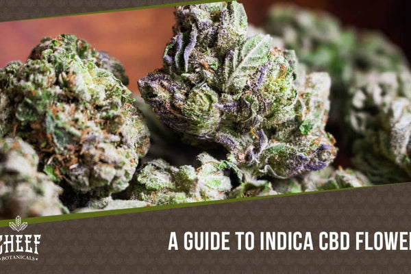 Indica CBD Flower: Discover The Best Strains Here!