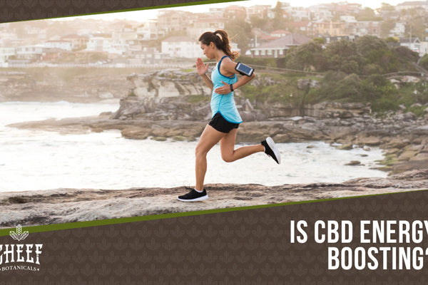 CBD for Energy: 5 All Natural & Energy Boosting CBD Products