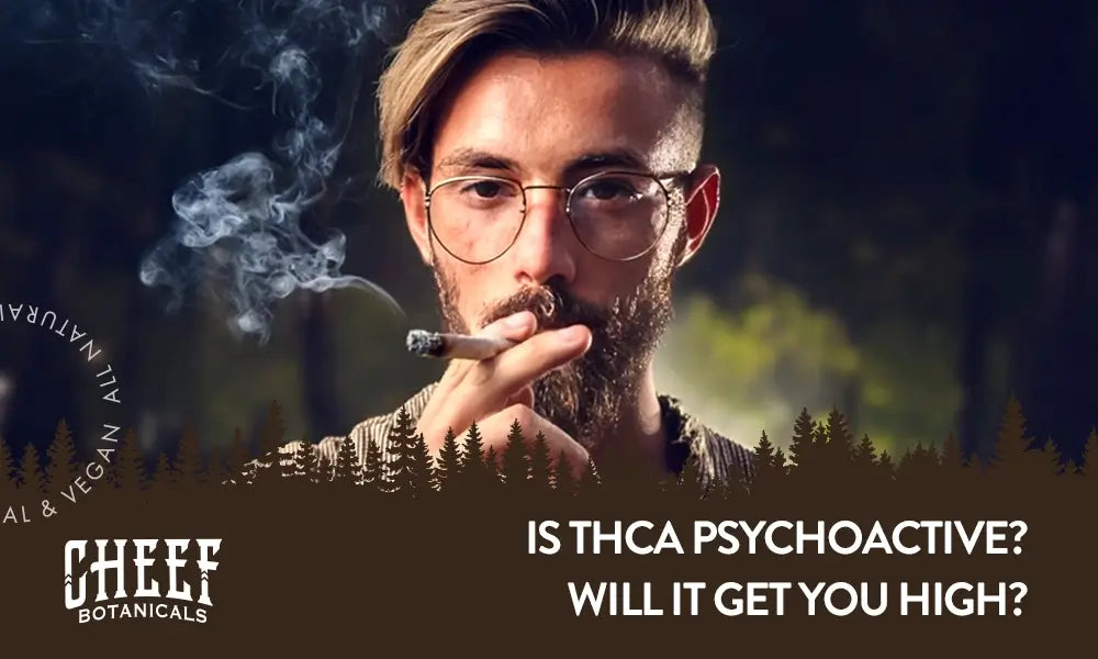 Is THCa Psychoactive featured blog image by Cheef Botanicals shows a young man hitting a rolled THCa joint.