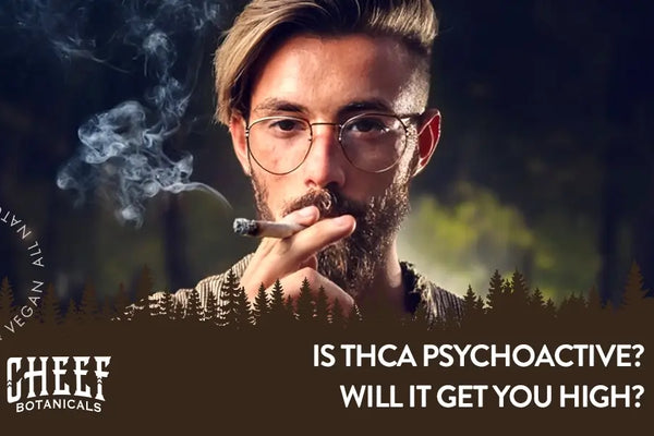 Is THCa Psychoactive? Does It Get You Buzzed Or High?