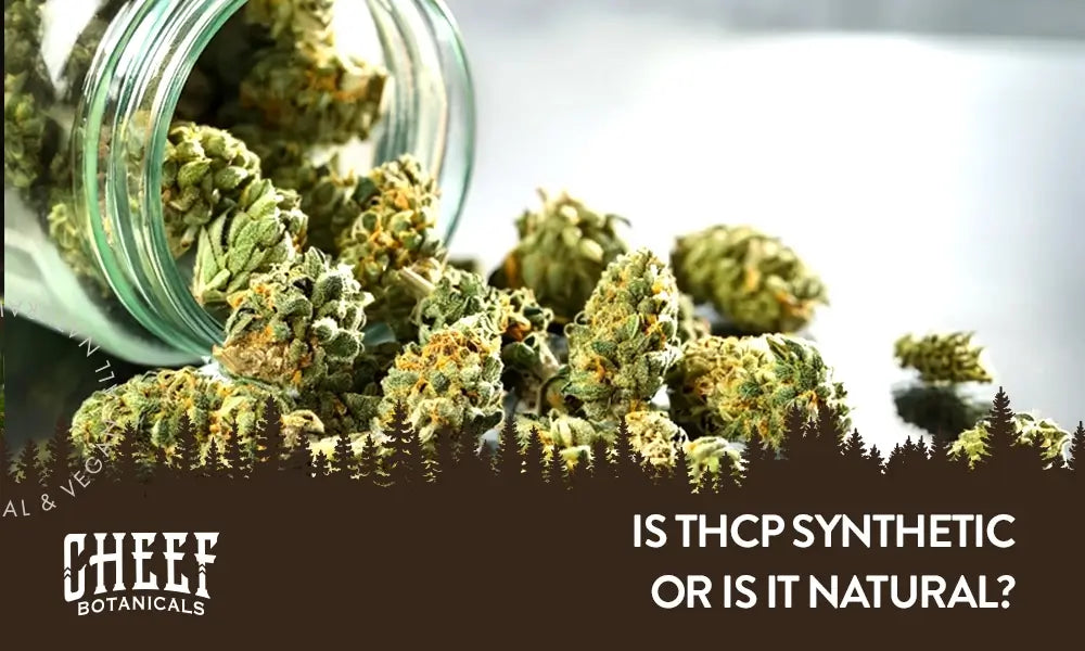 Is THCP synthetic featured blog image by Cheef Botanicals. Shows a clear jar full of THCp flower pouring out onto a glass table.