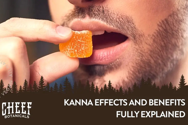 Kanna Effects and Benefits – What You Need to Know