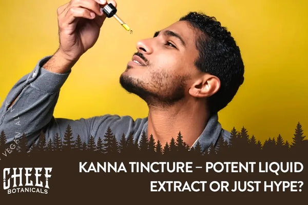 Kanna Tincture – Potent Liquid Extract or Just Hype?
